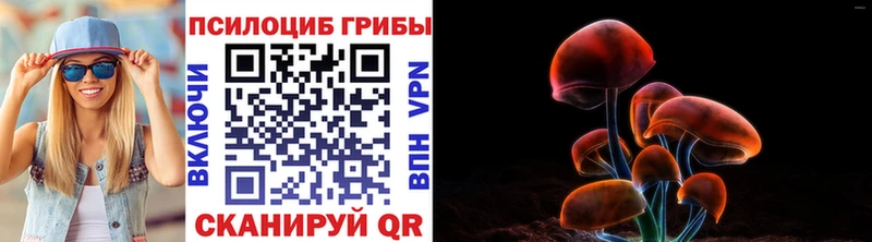 Купить где  Таруса  Псилоцибиновые грибы GOLDEN TEACHER 
